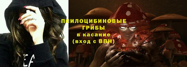 круглые Щучье