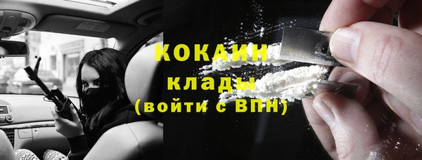 дмт Щигры