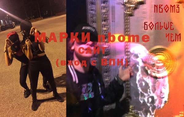 дмт Щигры
