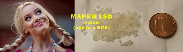 дмт Щигры