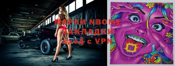 дмт Щигры