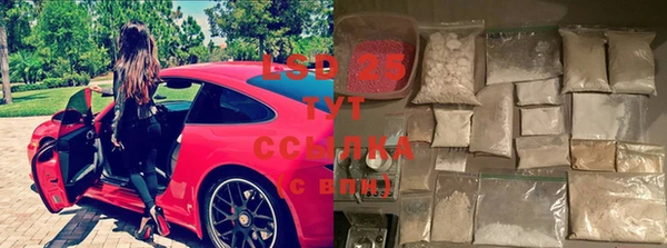 дмт Щигры