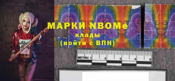 дмт Щигры