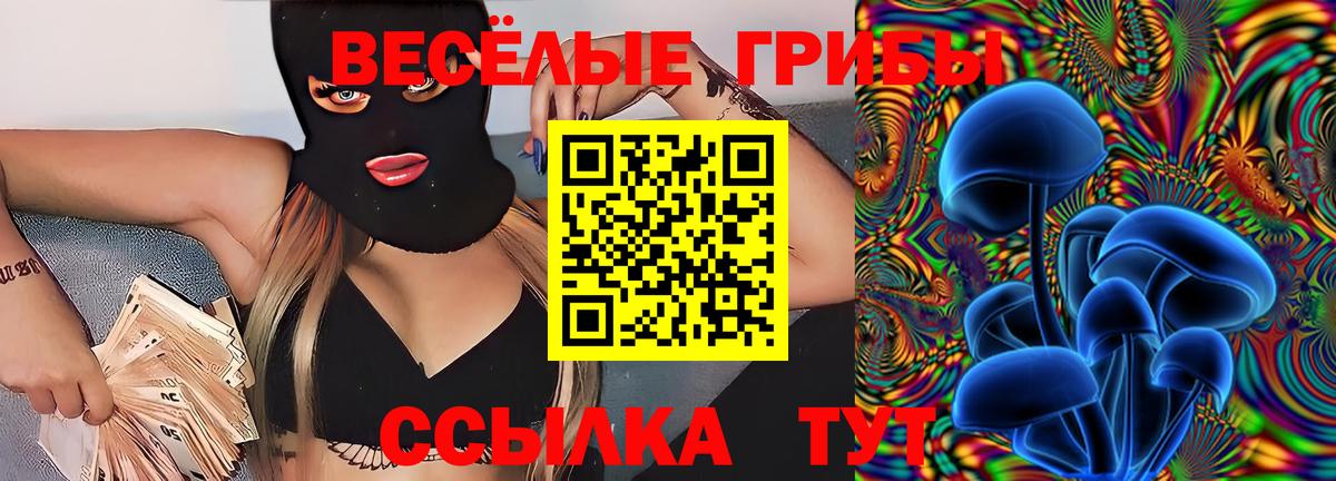 Псилоцибиновые грибы GOLDEN TEACHER  Галлюциногенные грибы MAGIC MUSHROOMS  Каменск-Уральский  Вход с VPN 
